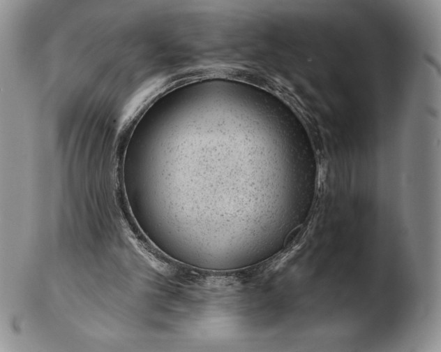 X0000102360101200808221725