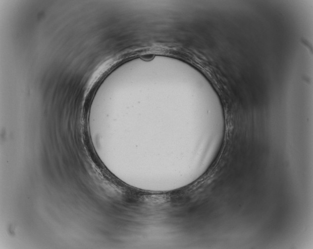 X0000102360102200808221725