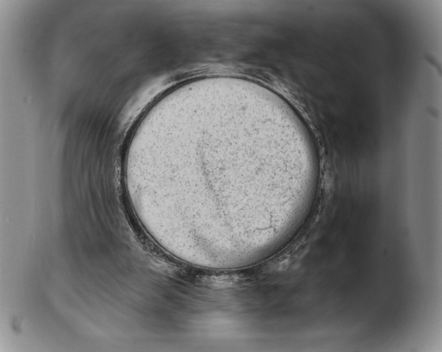 X0000102360103200808221725