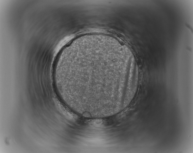 X0000102360104200808221725