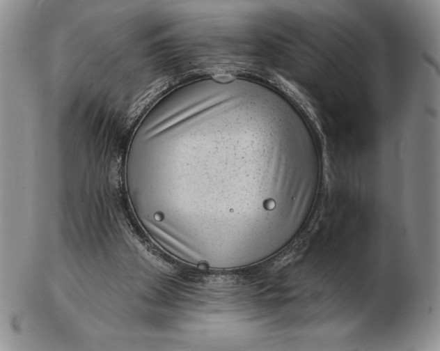 X0000102360105200808221725