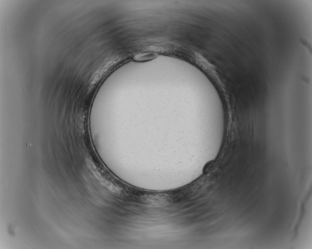 X0000102360106200808221725