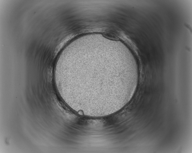 X0000102360107200808221725