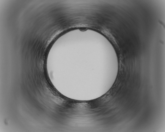 X0000102360108200808221725