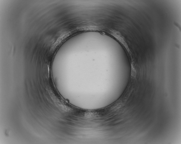 X0000102360109200808221725