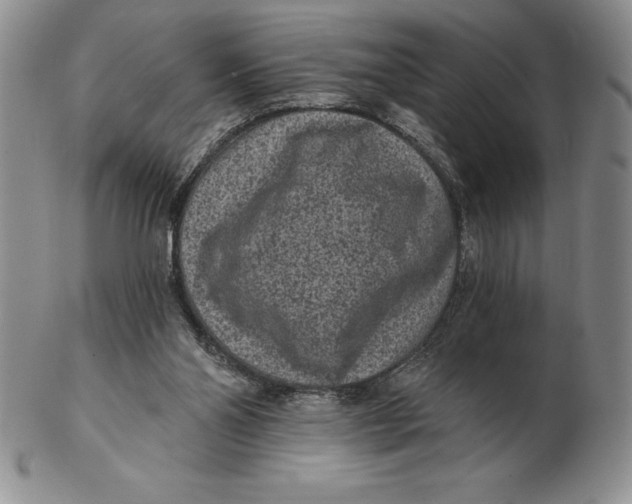 X0000102360110200808221725