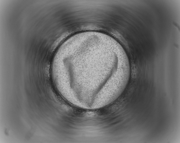 X0000102360111200808221725