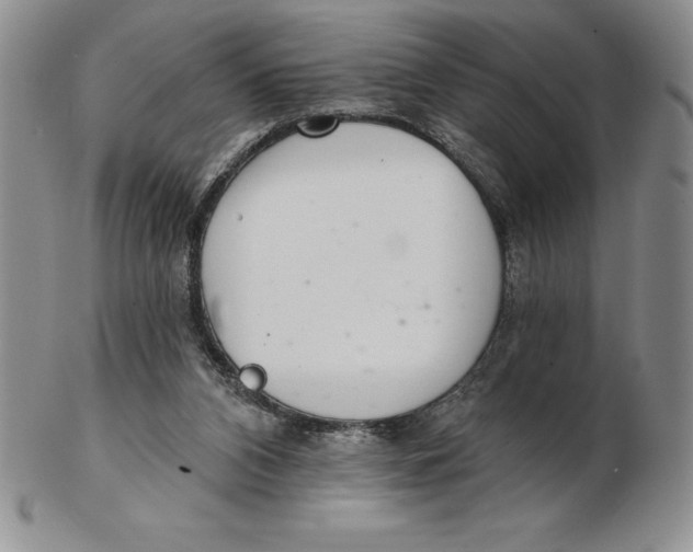 X0000102360112200808221725