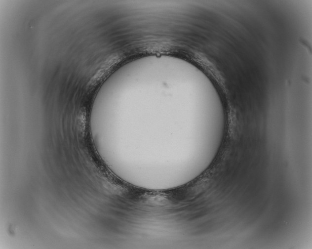 X0000102360113200808221725