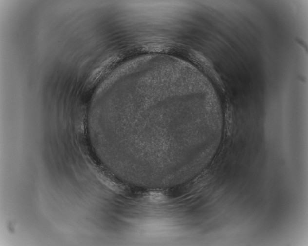 X0000102360114200808221725