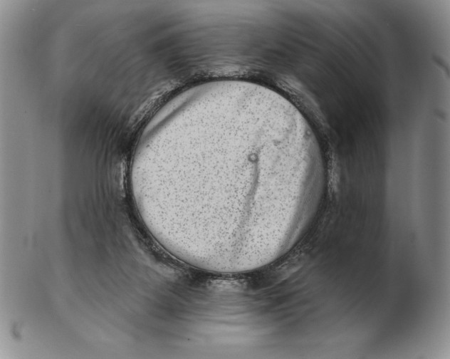 X0000102360115200808221725