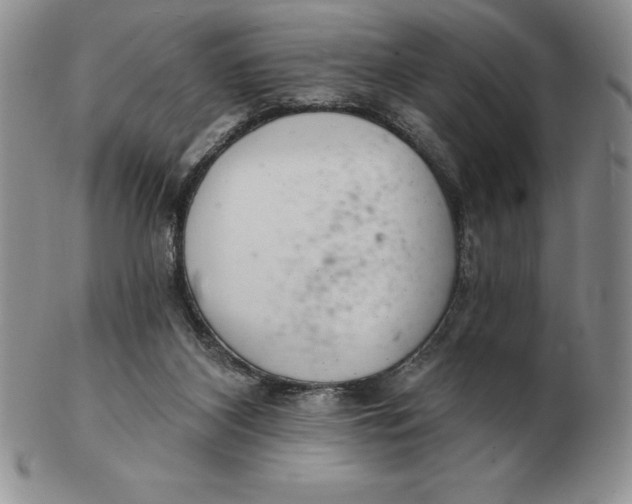 X0000102360116200808221725