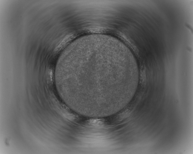 X0000102360117200808221725