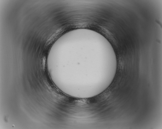 X0000102360118200808221725