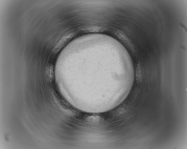 X0000102360119200808221725