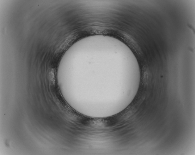 X0000102360121200808221725