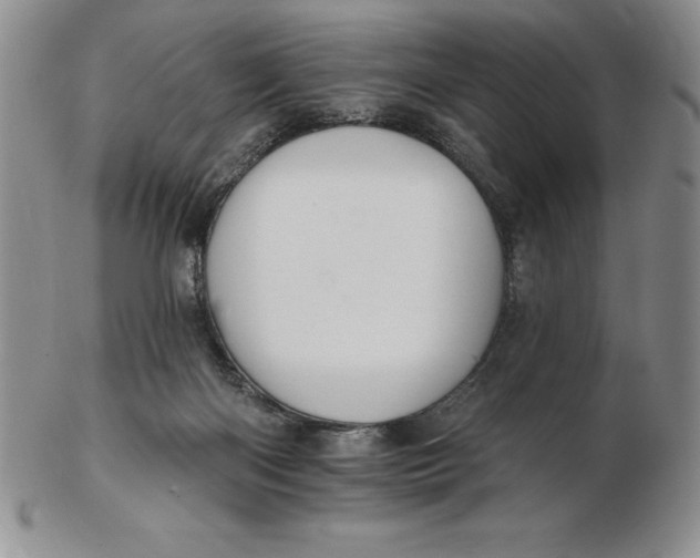 X0000102360122200808221725