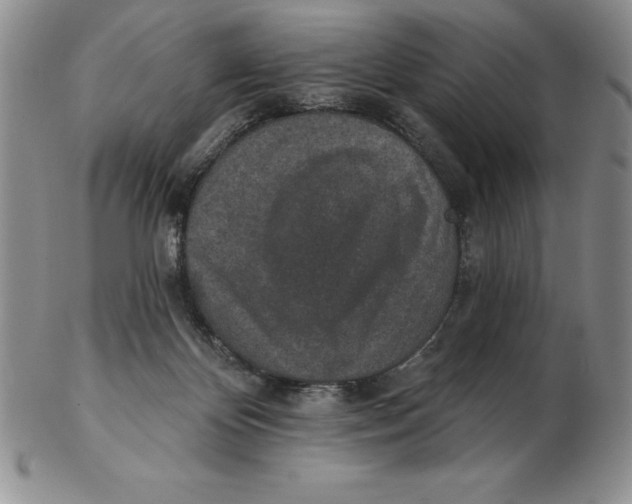 X0000102360124200808221725