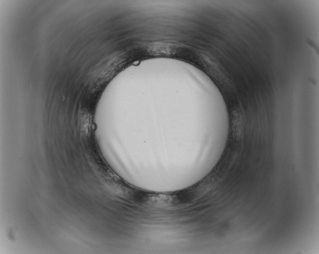 X0000102360125200808221725