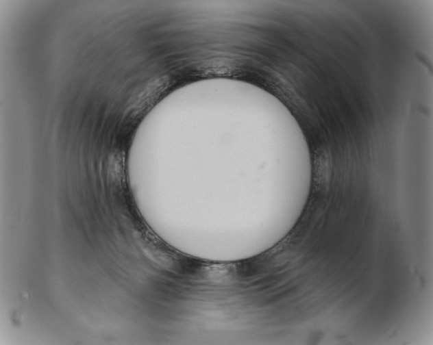 X0000102360126200808221725