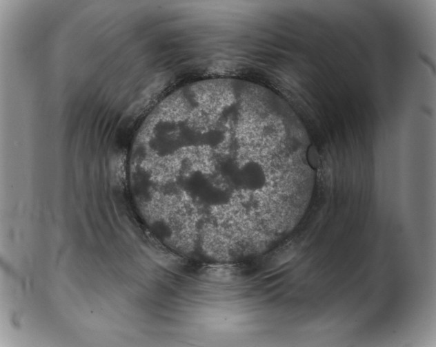 X0000102360127200808221725