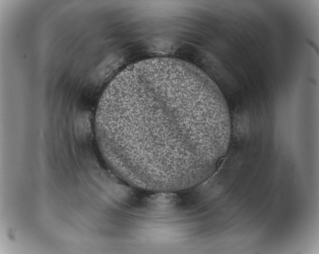 X0000102360128200808221725