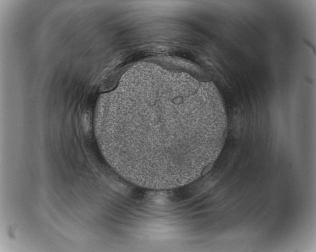 X0000102360131200808221725