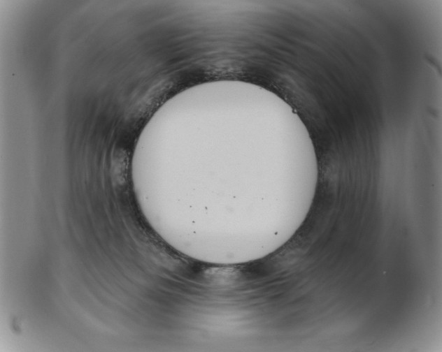 X0000102360133200808221725