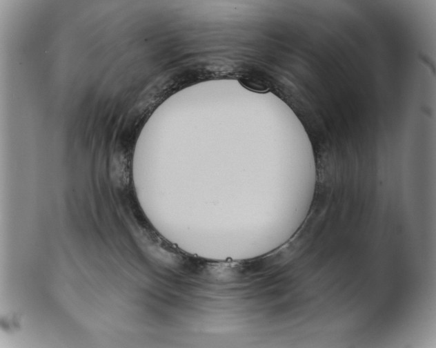 X0000102360136200808221725