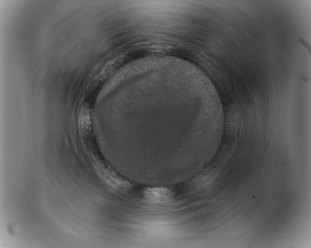 X0000102360137200808221725