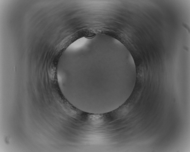 X0000102360139200808221724