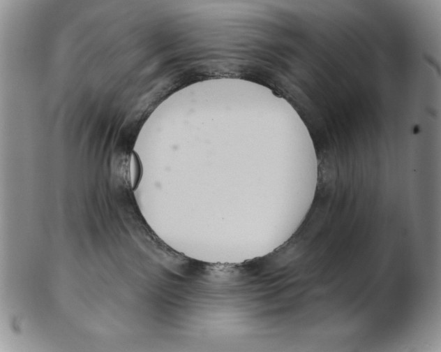 X0000102360141200808221724