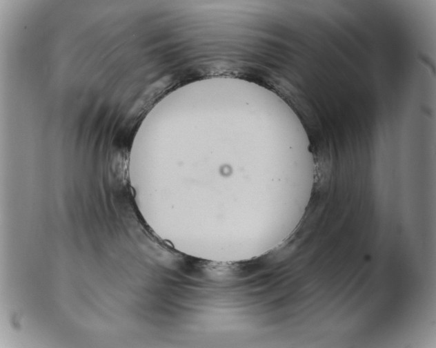 X0000102360142200808221724