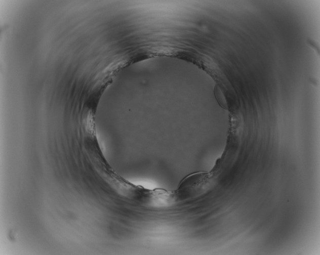 X0000102360143200808221724