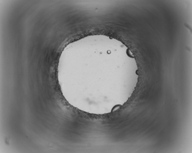 X0000102360144200808221724