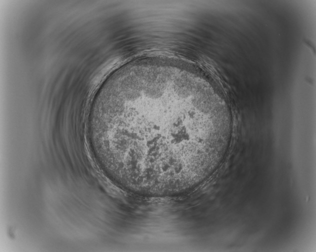 X0000102360145200808221724