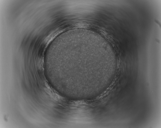 X0000102360146200808221724