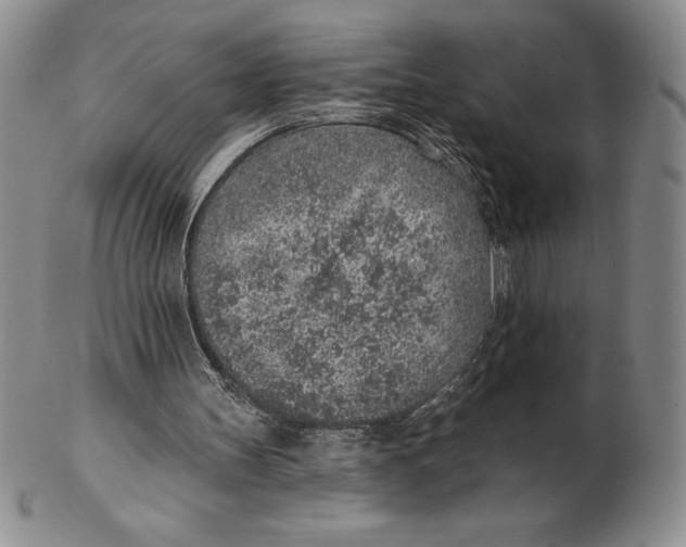 X0000102360147200808221724