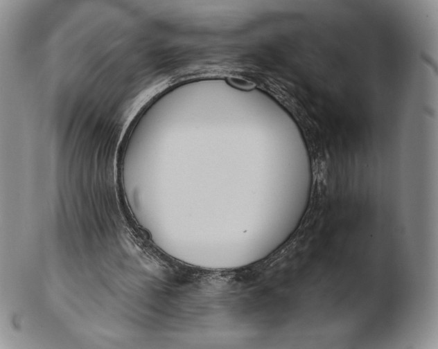 X0000102360148200808221724