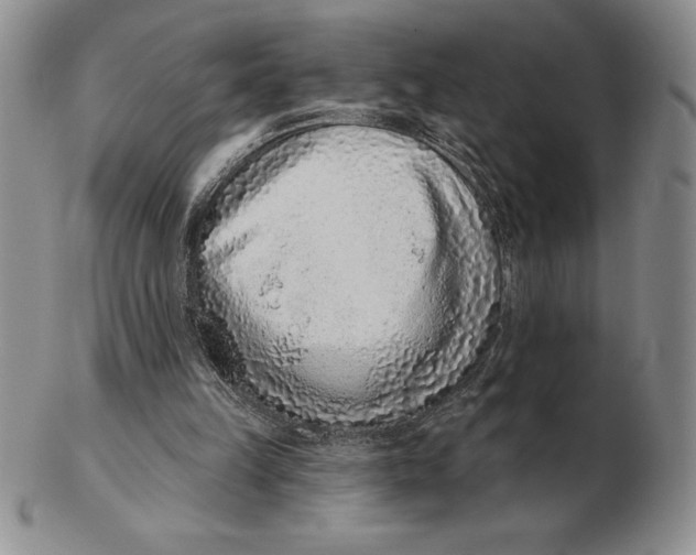 X0000102360149200808221724