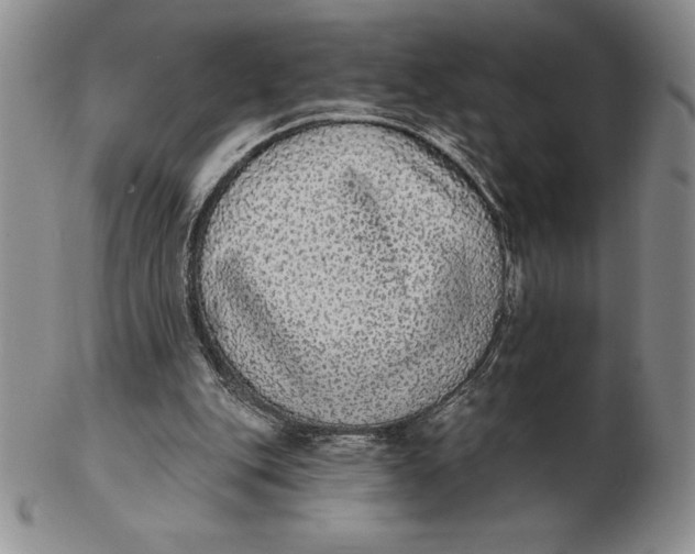 X0000102360151200808221724