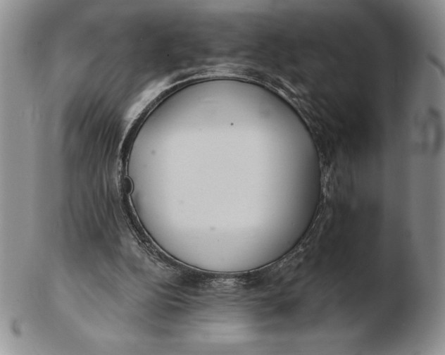 X0000102360152200808221724