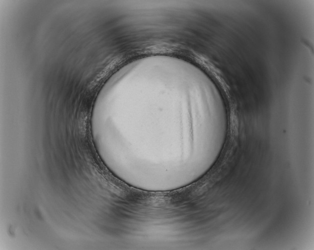 X0000102360153200808221724