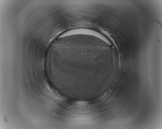 X0000102360154200808221724