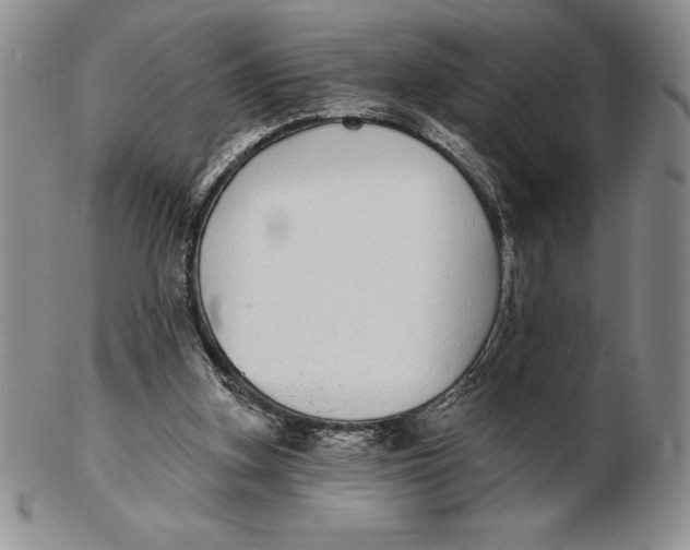 X0000102360155200808221724