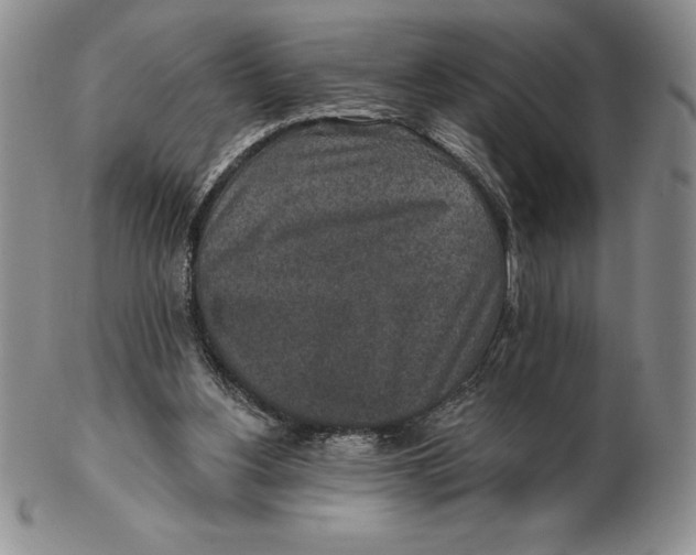 X0000102360156200808221724