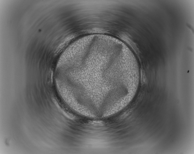 X0000102360157200808221724