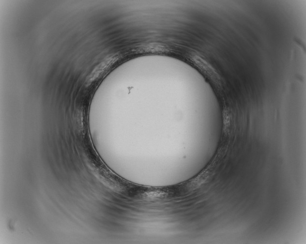 X0000102360158200808221724