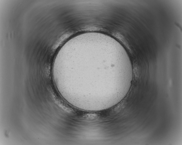 X0000102360159200808221724