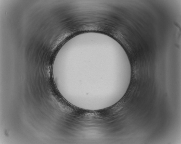 X0000102360160200808221724